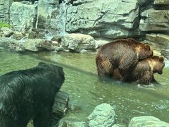 -北京野生动物园