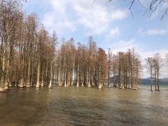 -四明湖