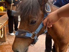 -郑州方特梦幻王国