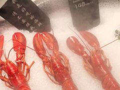 -62°上清优选