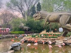 -北京野生动物园