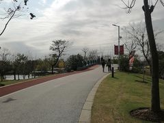 -上海长兴岛郊野公园