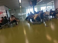-郑州新郑国际机场-T2航站楼