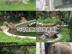 -广州动物园