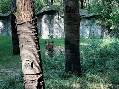 -北京野生动物园