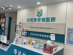-小伙伴宠物医院·CT·骨科·眼科(高新店)