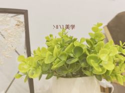 点击看大图 -MIVI野生眉纹绣纹眉