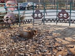 -海拉尔蒙古包(房山长阳总店)