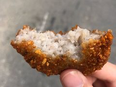 -陶记正宗德州扒鸡(科巷店)