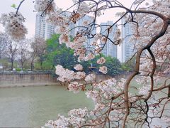 -红星桥(地铁站)