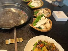 -滇野云南野生菌餐厅(陕西南路店)