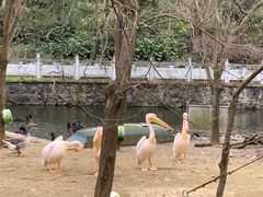 -黔灵山公园