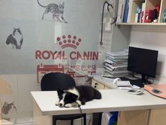 -乐琪宠物医院·犬猫专科·骨外科·急重症