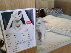 -悠尼宠物·独立低压伊珊娜洗护·美容·寄养(兰谷路店)