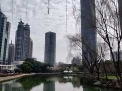 -陆家嘴中心绿地