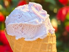 -成裕雪糕店(士多店)