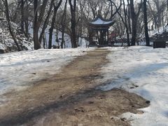 -晋祠公园