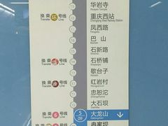 -大龙山(地铁站)