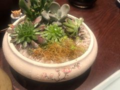 -南京大牌档(济南万象城店)