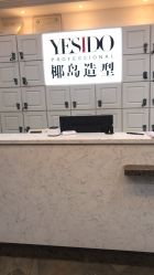 点击看大图 -YESIDO椰岛造型