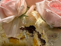 -山与蓝·轻糖鲜果蛋糕(勒泰店)