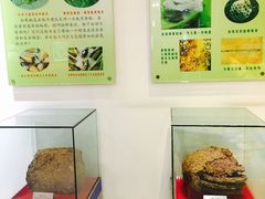 -上海昆虫博物馆