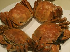 -王宝和酒家(黄浦店)