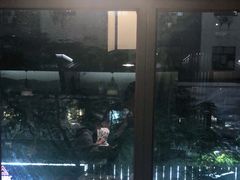 -野妹火锅(龙岗店)