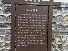 -阳台山自然风景区