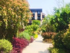 -上海崇明金茂凯悦酒店