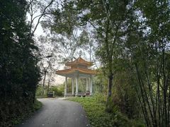 -广州市白云山风景名胜区