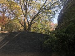 -南京市无想山景区