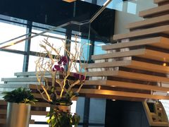 -上海龙之梦万丽酒店