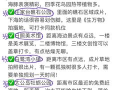 -日照海滨国家森林公园