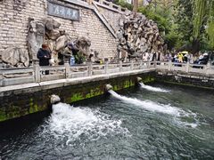 -教师之家赵家羊汤馆(东青龙街店)