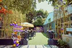 -派对猴生日派对策划