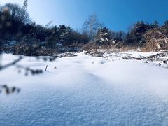 -秦岭风景区