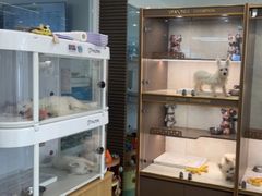 -翊宠yipet猫狗购宠庄园犬舍•猫舍