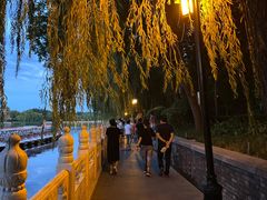 -后海公园