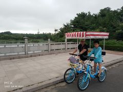 -日照海滨国家森林公园