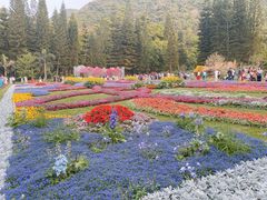 -深圳仙湖植物园