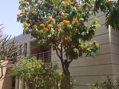 -厦门国家会计学院