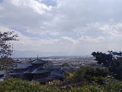 -嘉华鲜花饼(四方街旗舰店)