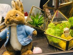 -歎雪糕低糖低脂Gelato冰淇淋