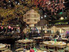 -老凯俚酸汤鱼(多彩城店)