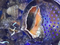 -孙家码头海鲜自助美食城