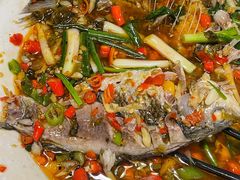 -飞虹鱼馆(春华路店)