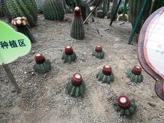 -南山植物园