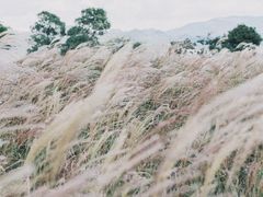 -东钱湖旅游度假区