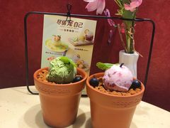 -哈根达斯(陆家浜路店)